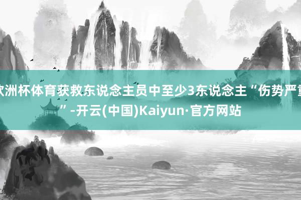 欧洲杯体育获救东说念主员中至少3东说念主“伤势严重”-开云(中国)Kaiyun·官方网站