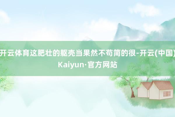 开云体育这肥壮的躯壳当果然不苟简的很-开云(中国)Kaiyun·官方网站