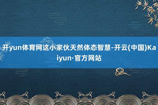 开yun体育网这小家伙天然体态智慧-开云(中国)Kaiyun·官方网站