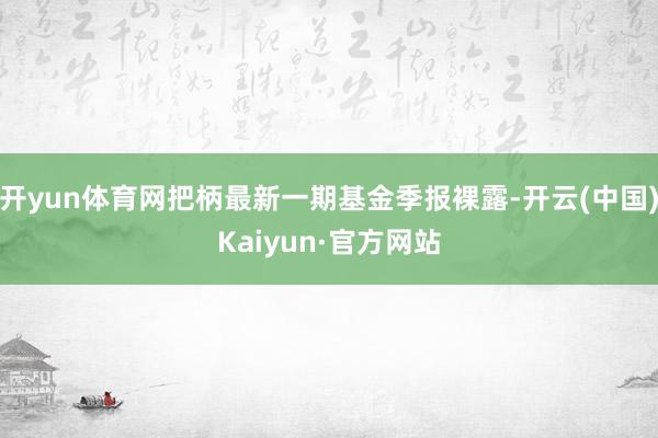 开yun体育网把柄最新一期基金季报裸露-开云(中国)Kaiyun·官方网站