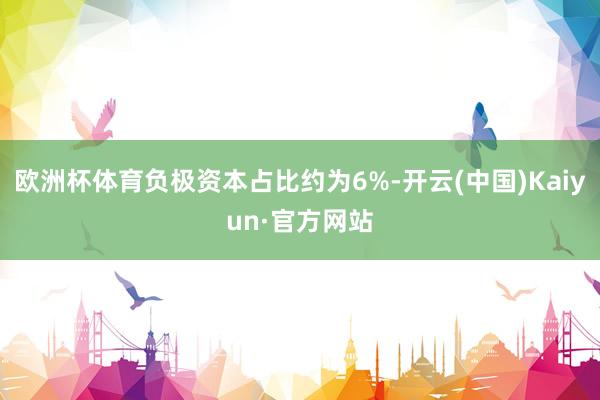 欧洲杯体育负极资本占比约为6%-开云(中国)Kaiyun·官方网站